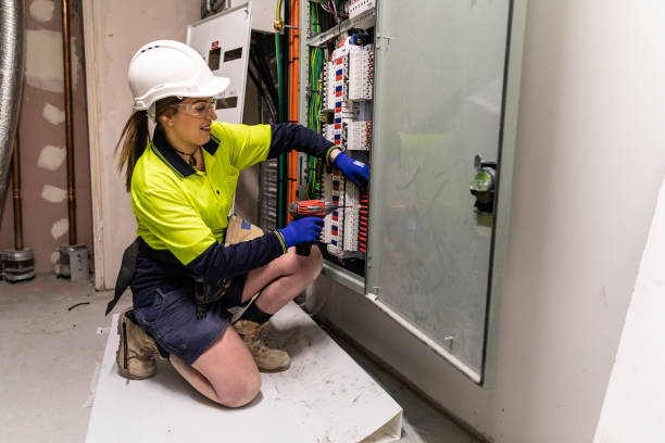 Best Electric Panel Repair  in Rock Creek, AL